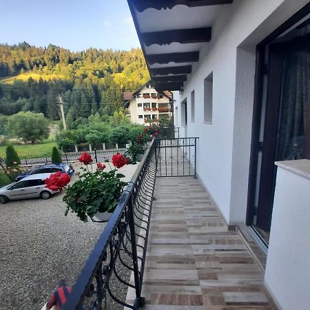 Casa Dana Olteanu Hotel Felsőmoécs Kültér fotó
