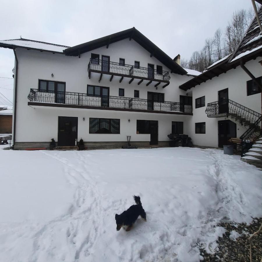 Casa Dana Olteanu Hotel Felsőmoécs Kültér fotó