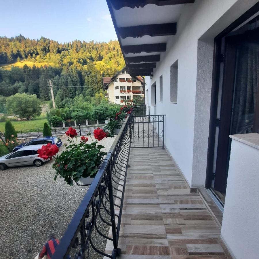 Casa Dana Olteanu Hotel Felsőmoécs Kültér fotó