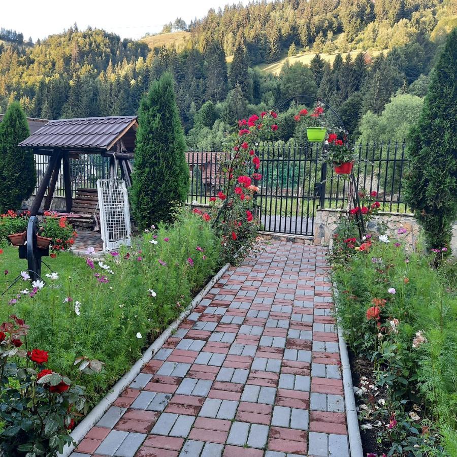 Casa Dana Olteanu Hotel Felsőmoécs Kültér fotó